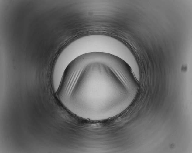 X0000102800411200809150933