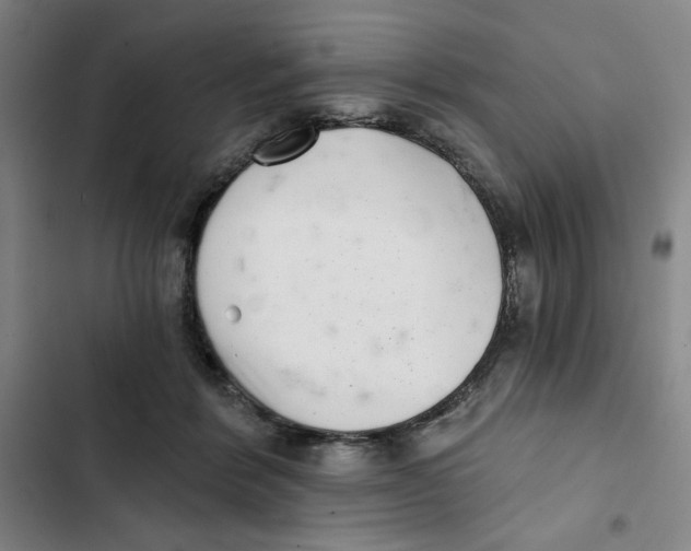 X0000102800412200809150933