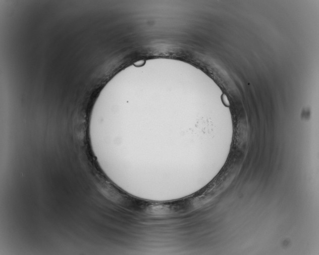 X0000102800413200809150933