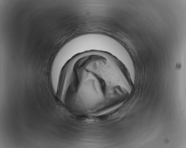 X0000102800415200809150933