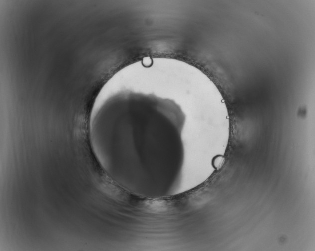 X0000102800419200809150933