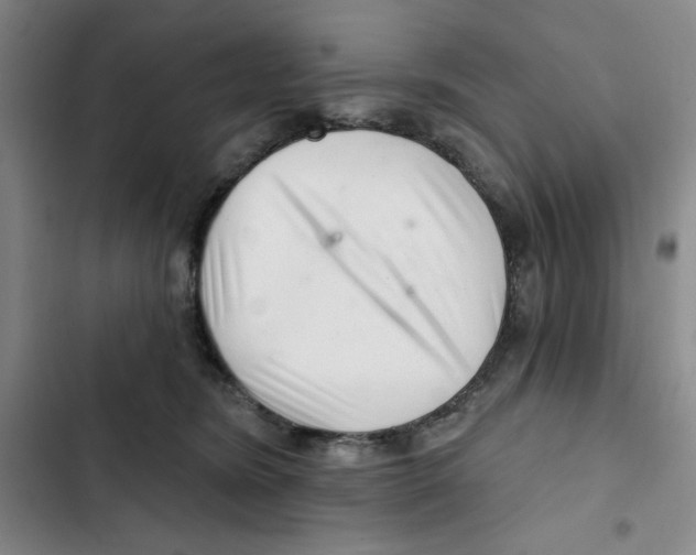 X0000102800420200809150933