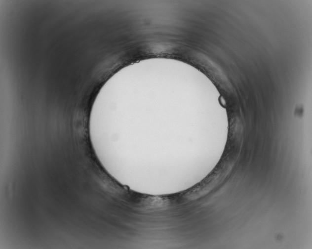 X0000102800421200809150933