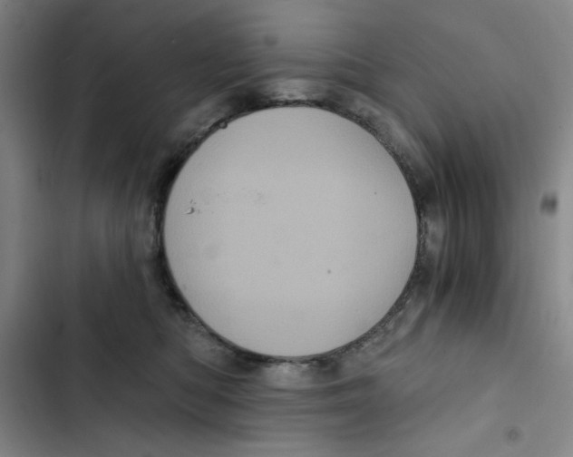 X0000102800422200809150933