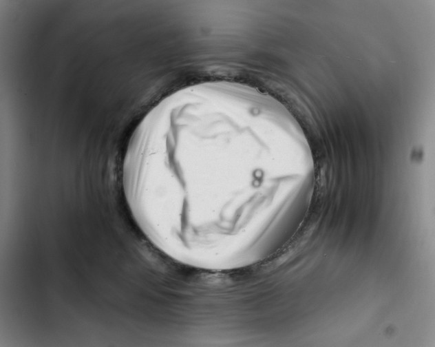 X0000102800424200809150933