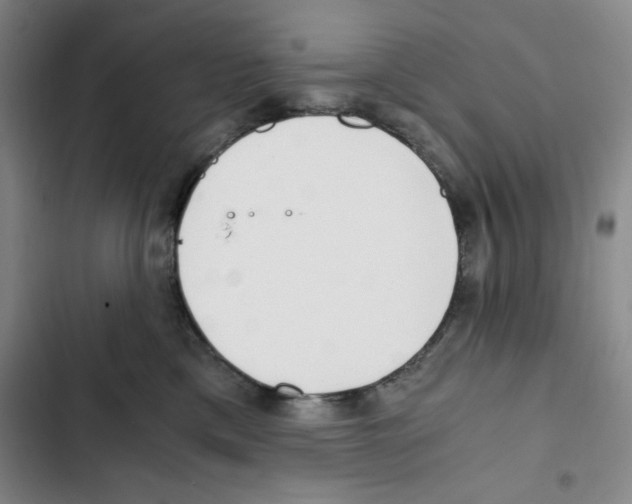 X0000102800425200809150933