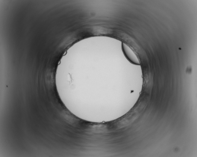 X0000102800426200809150933