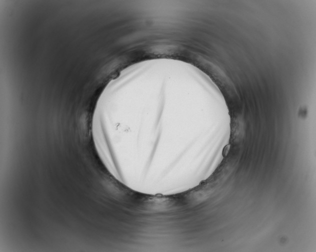 X0000102800428200809150933