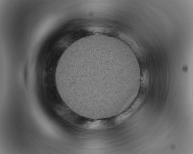 X0000102800430200809150933