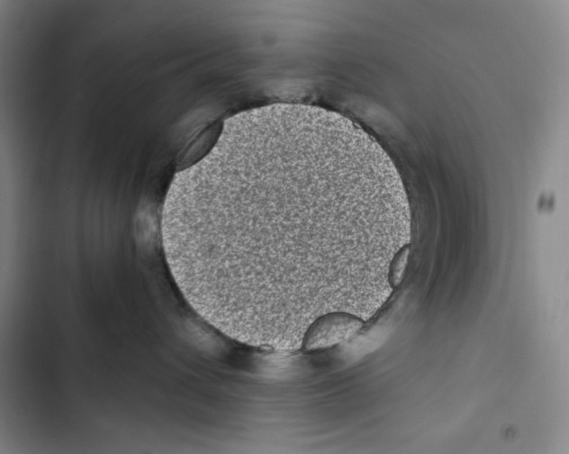 X0000102800432200809150933