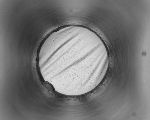 X0000102800434200809150932