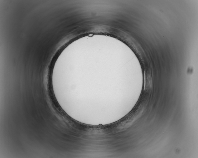 X0000102800435200809150932