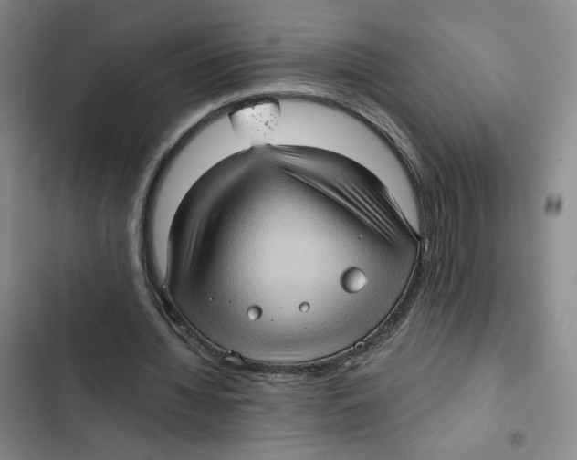 X0000102800436200809150932