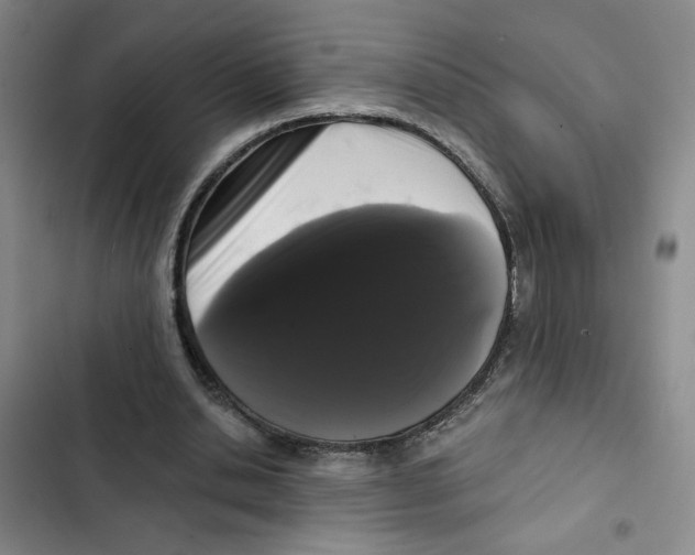 X0000102800438200809150932