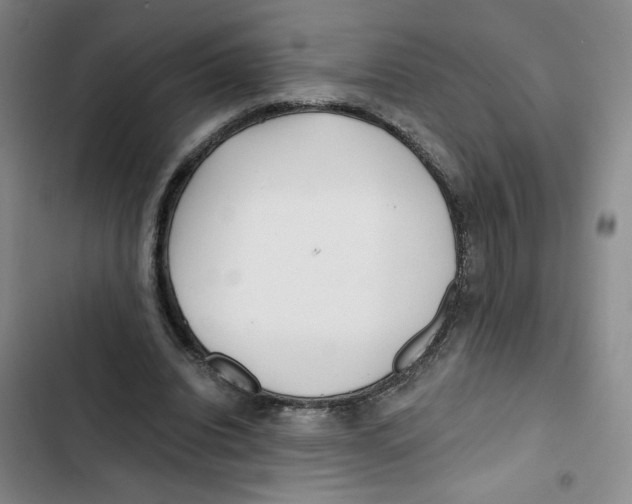 X0000102800440200809150932