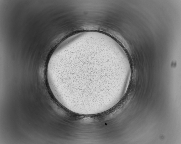 X0000102800441200809150932