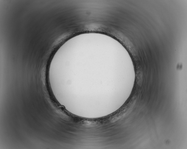 X0000102800442200809150932