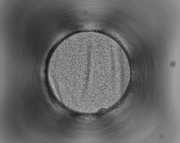 X0000102800443200809150932