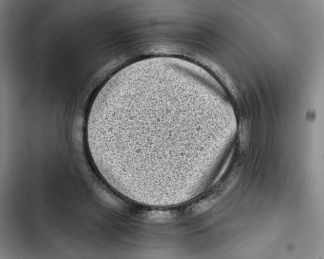 X0000102800445200809150932