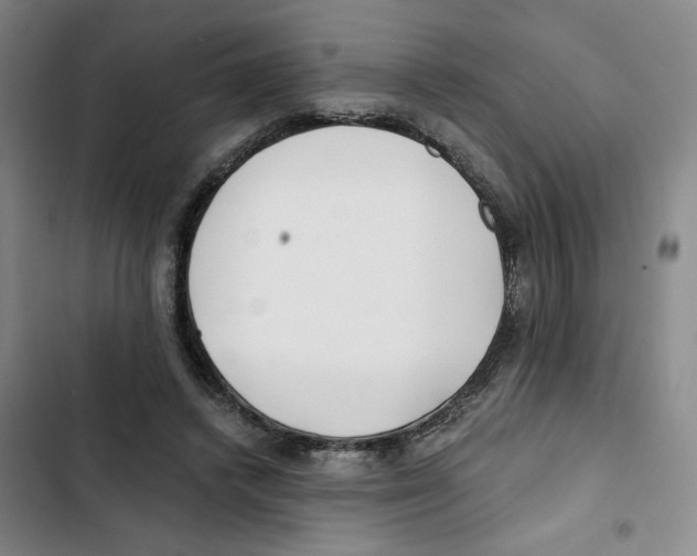 X0000102800448200809150932