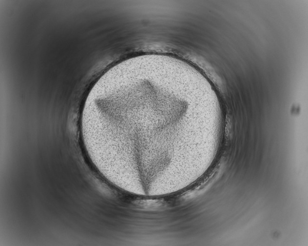 X0000102800449200809150932