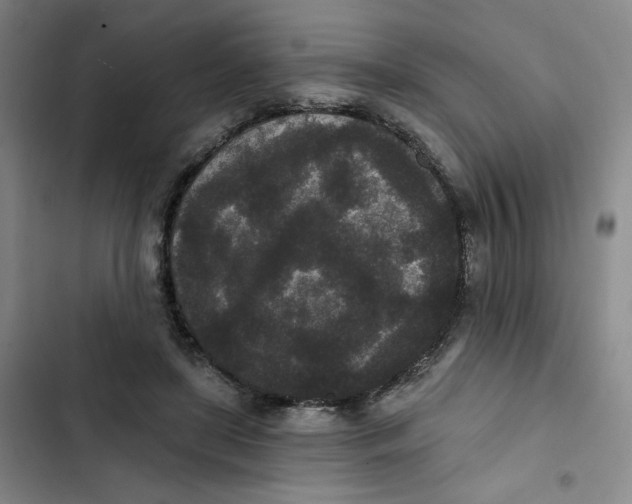 X0000102800451200809150932