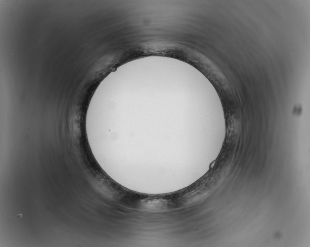 X0000102800452200809150932