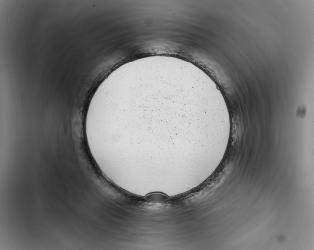 X0000102800453200809150932