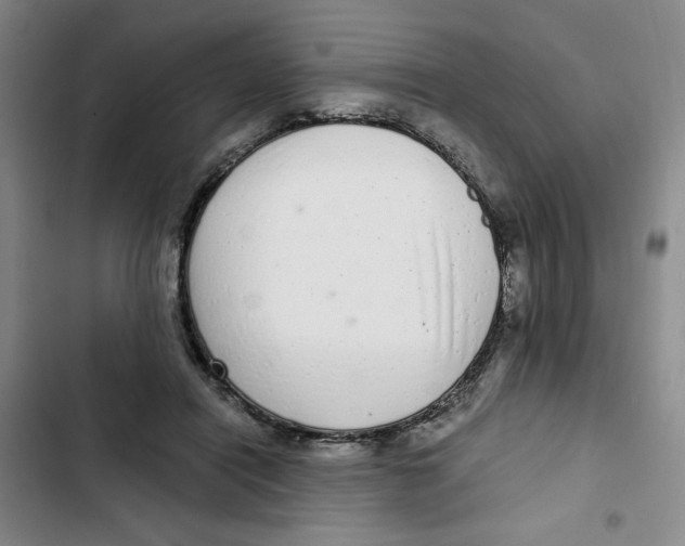 X0000102800454200809150933