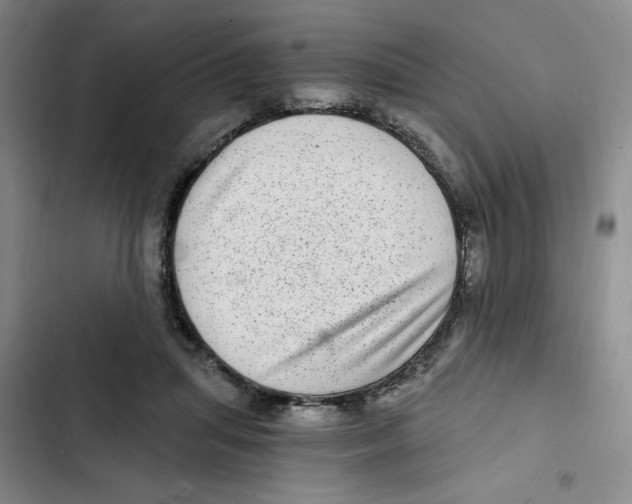 X0000102800455200809150933