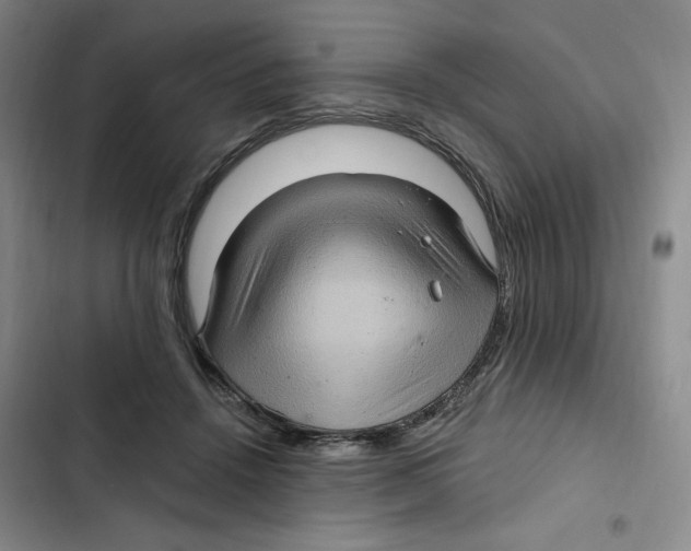 X0000102800456200809150933