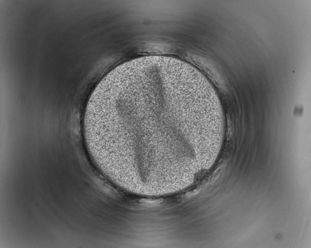 X0000102800457200809150933