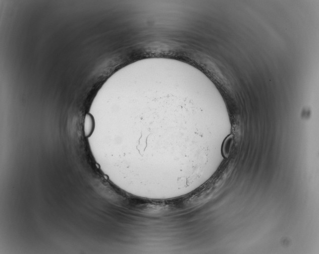 X0000102800458200809150933