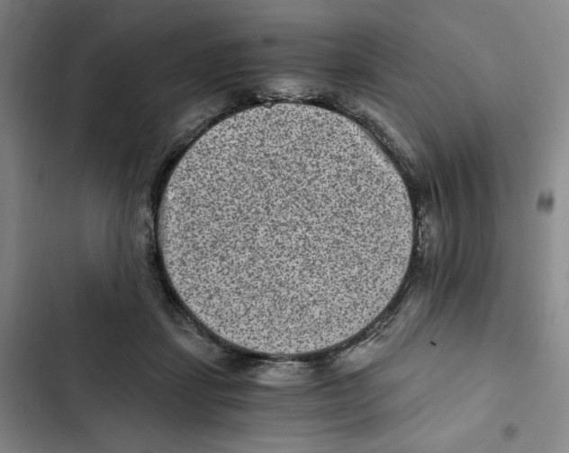 X0000102800459200809150933