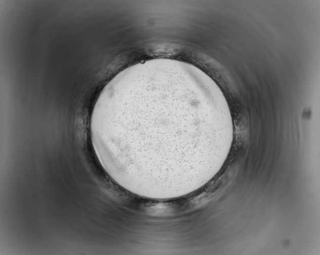 X0000102800460200809150933