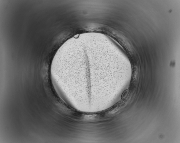 X0000102800461200809150933