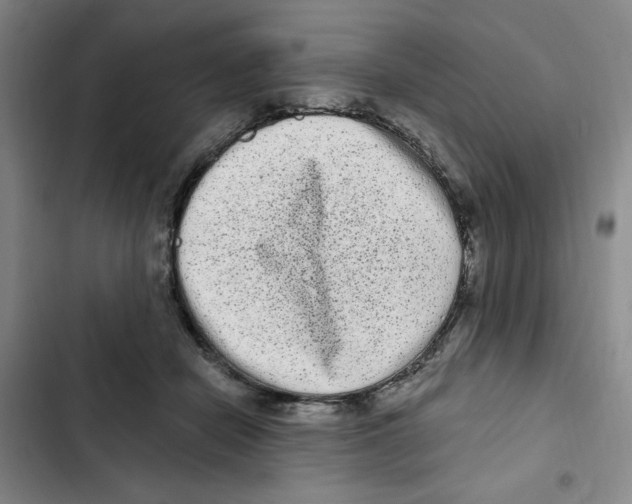 X0000102800462200809150933