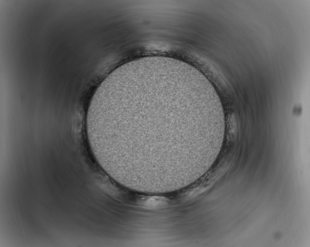 X0000102800463200809150933