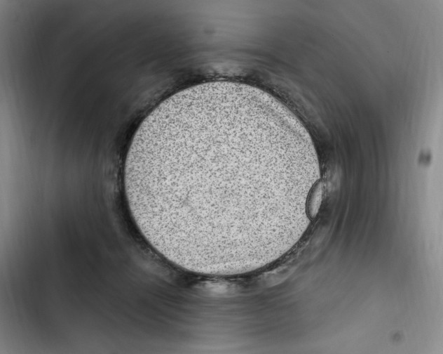 X0000102800464200809150933