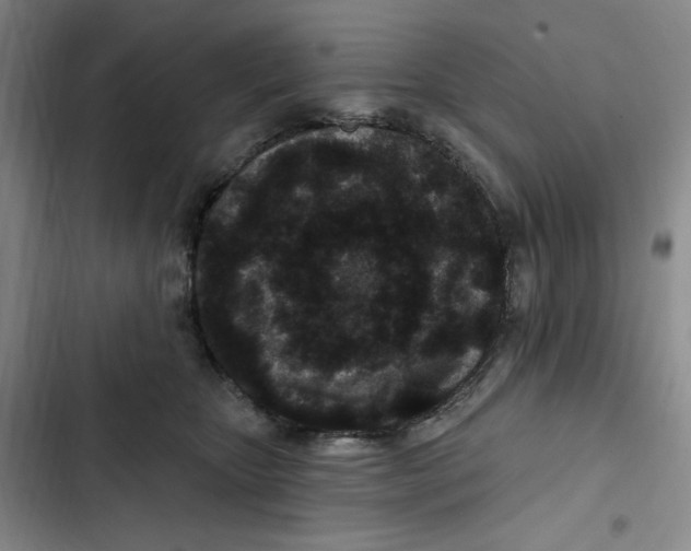 X0000102800467200809150933