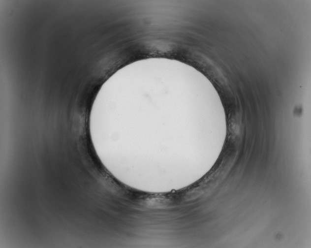 X0000102800468200809150933