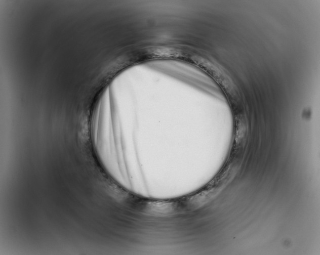 X0000102800469200809150933