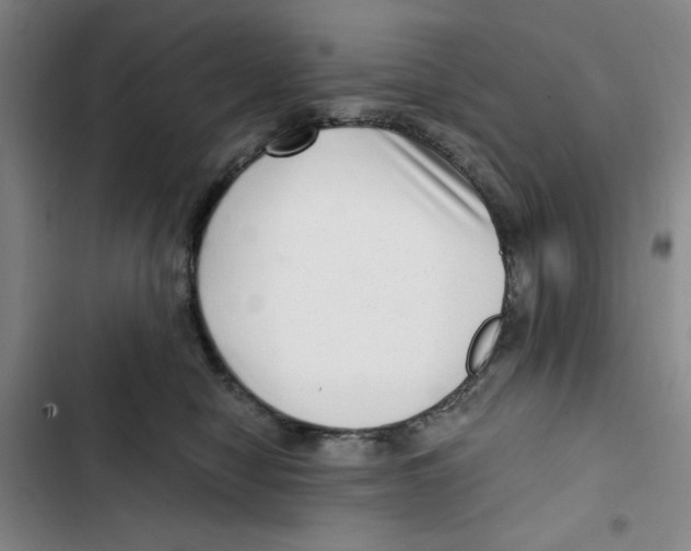 X0000102800470200809150933