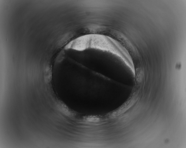 X0000102800471200809150933