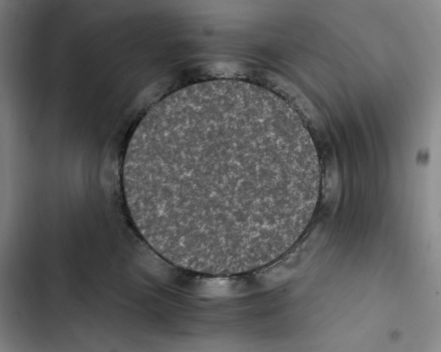 X0000102800473200809150933