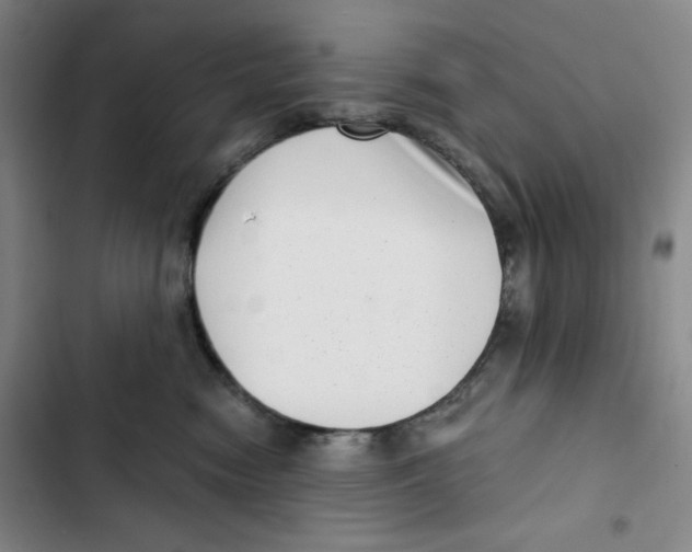 X0000102800474200809150933