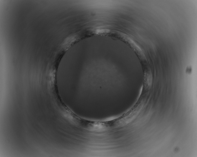 X0000102800475200809150933