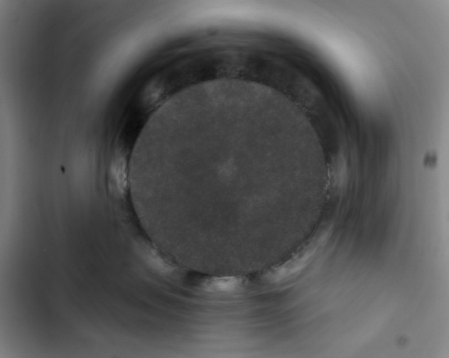 X0000102800479200809150933