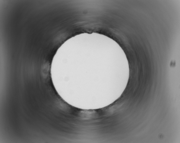 X0000102800480200809150933