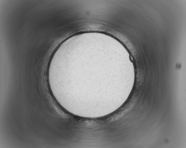 X0000102800481200809150932